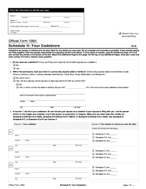 US Bankruptcy Codebtor Form