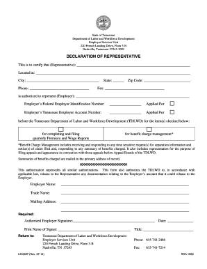 Tennessee Declaration of Representative