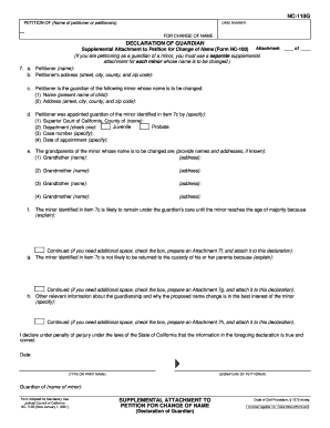 Supplemental Attachment to Petition for Change of Name