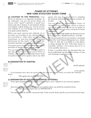 New York Statutory Power of Attorney