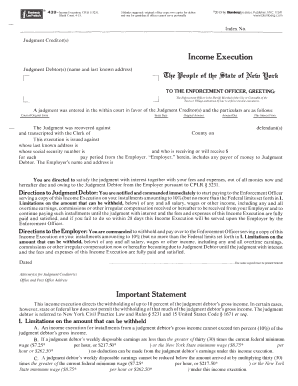 New York Income Execution Form