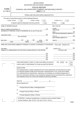 SEC FOCUS Report Form X-17A-5
