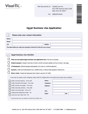 Egypt Business Visa Application Form