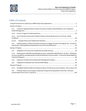 New York DSRIP Project Plan Application