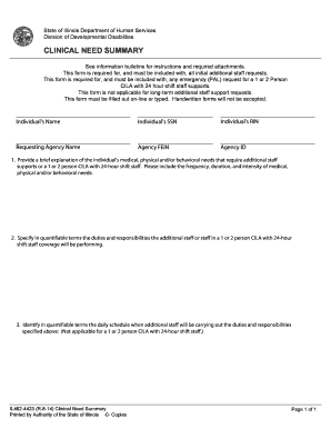 Illinois Clinical Need Summary Form
