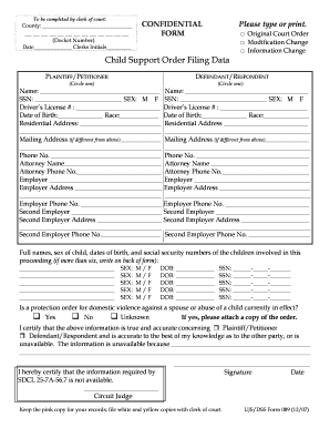 Child Support Order Filing Data Form