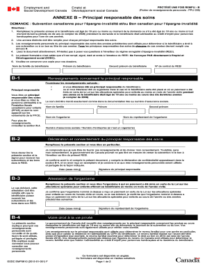 Annexe B – Principal responsable des soins