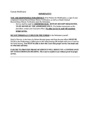 Custody Modification Petition