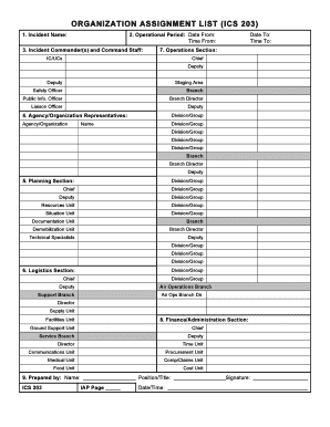ICS 203 Organization Assignment List