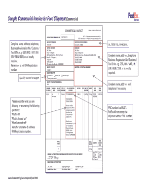 Commercial Invoice for Food Shipment