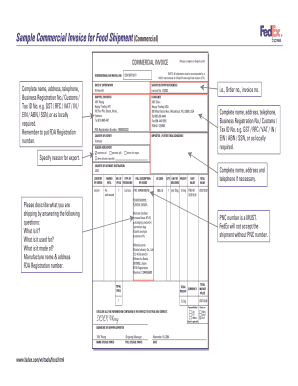 Commercial Invoice for Food Shipment