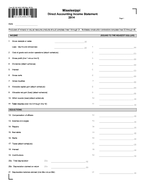 Mississippi Direct Accounting Income Statement