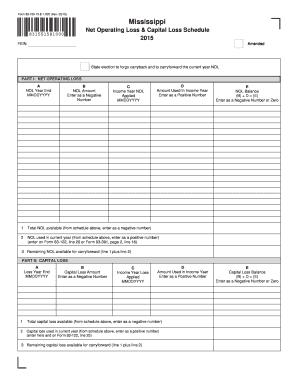 Mississippi Net Operating Loss & Capital Loss Schedule