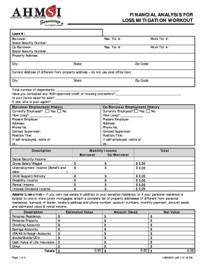 Loss Mitigation Workout Financial Analysis Form