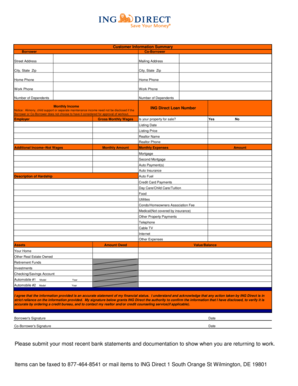 ING Direct Loan Application