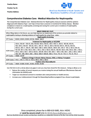 Comprehensive Diabetes Care: Medical Attention for Nephropathy