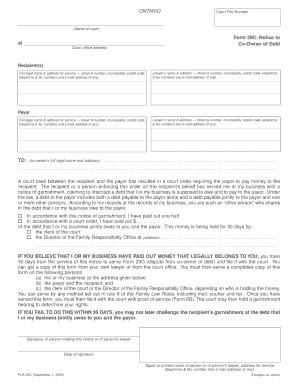 Ontario Form 29C: Notice to Co-Owner of Debt