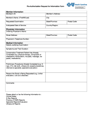 Pre-Authorization Request for Information Form