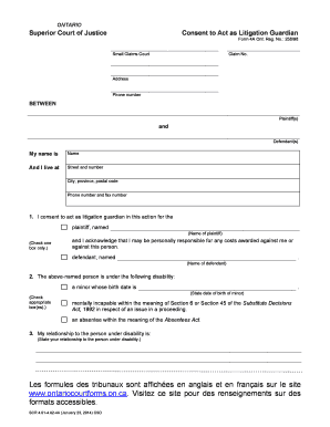 Ontario Superior Court Litigation Guardian Consent Form