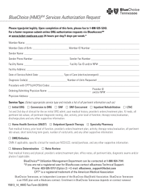 BlueChoice HMO Services Authorization Request