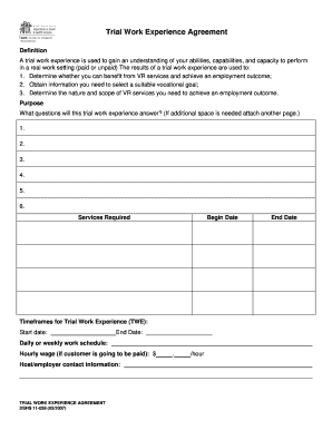 Trial Work Experience Agreement
