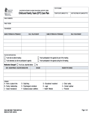 Child and Family Team Care Plan