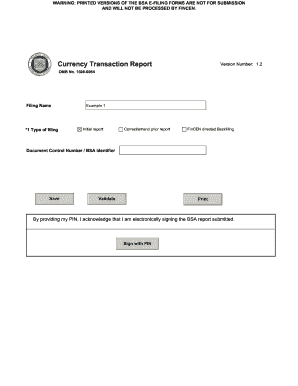 Currency Transaction Report Form