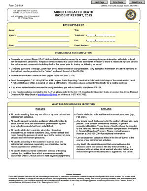Arrest-Related Death Incident Report