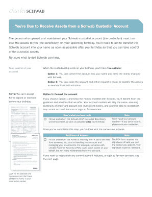 Schwab Custodial Beneficiary Conversion Account Application