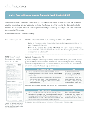 Schwab Custodial IRA Reregistration Application