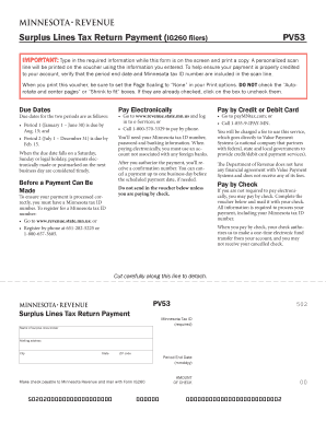 Minnesota Surplus Lines Tax Return Payment