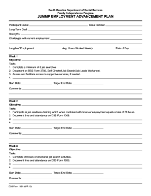 South Carolina Family Independence Employment Advancement Plan