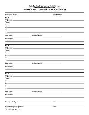 South Carolina DSS Employability Plan Addendum