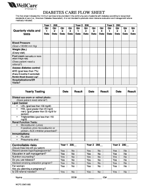 Diabetes Care Flow Sheet