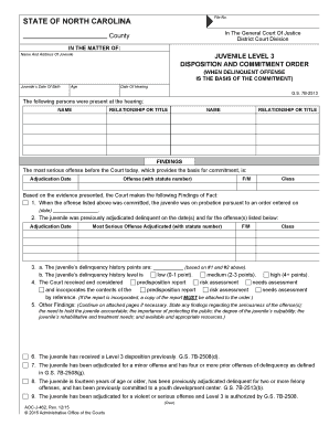 North Carolina Juvenile Disposition and Commitment Order