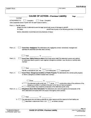 California Premises Liability Complaint Form