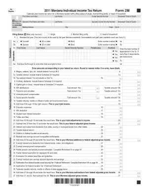 Montana Individual Income Tax Return Form 2M