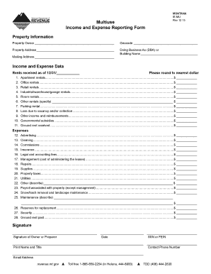 Montana Income and Expense Reporting Form