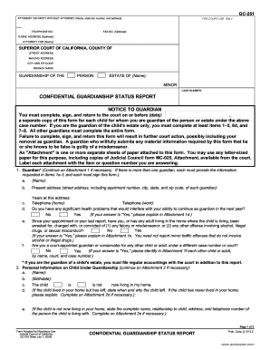 Confidential Guardianship Status Report