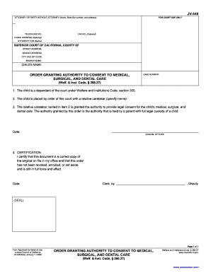 Order Granting Authority to Consent to Medical Care