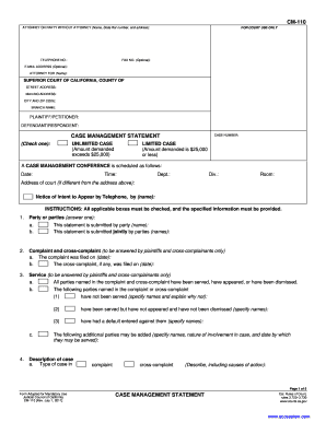 California Case Management Statement Form CM-110