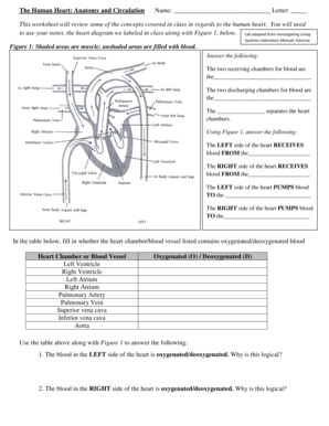 Human Heart Anatomy Worksheet