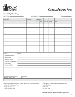 Claims Adjustment Form