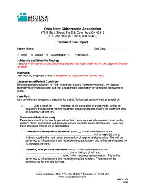 Ohio Chiropractic Treatment Plan Report