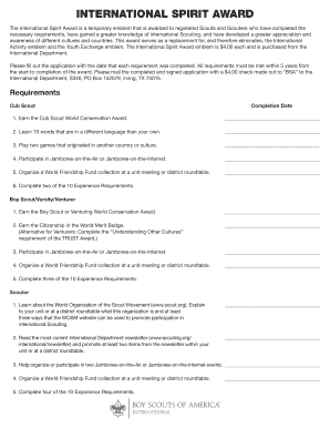 International Spirit Award Application
