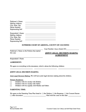 Arizona Parenting Time and Child Support Petition