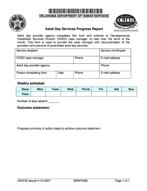 Adult Day Services Progress Report