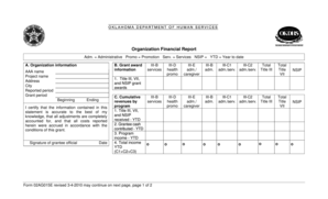 Organization Financial Report Form 02AG015E