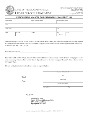 Illinois Visitation Order Violation Form