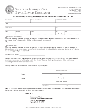 Illinois Visitation Violation Compliance Form